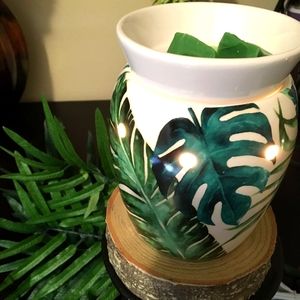 Scentsy rainforest fern burner